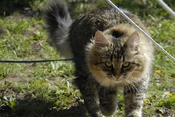 Pilmin 6.jpg